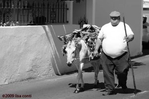 cicciotto