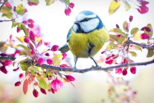 equinozio di primavera